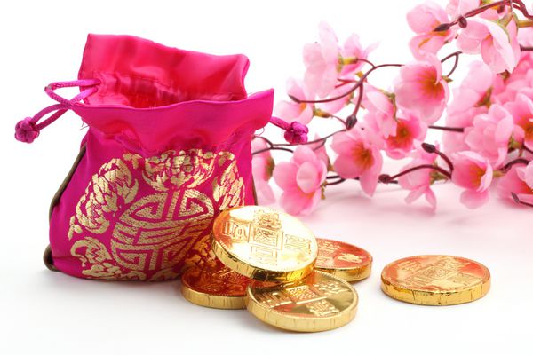 تزئینات سال نو چینی - کیسه پول سنتی سکه طلا و شکوفه آلو صورتی