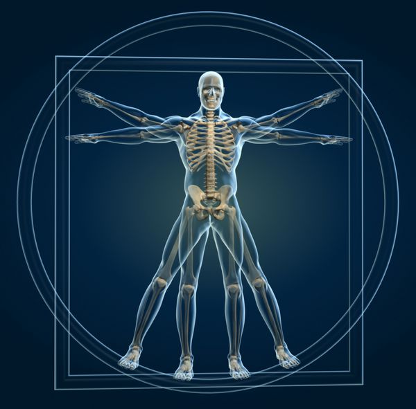 بدن و اسکلت در مرد شیشه‌ای - این یک تصویر رندر سه بعدی است