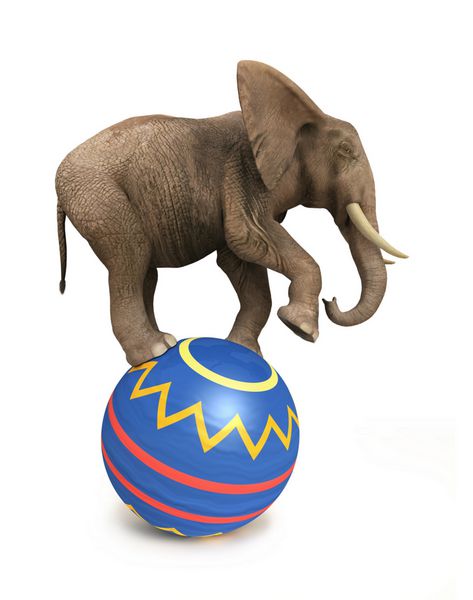 تعادل فیل روی توپ
