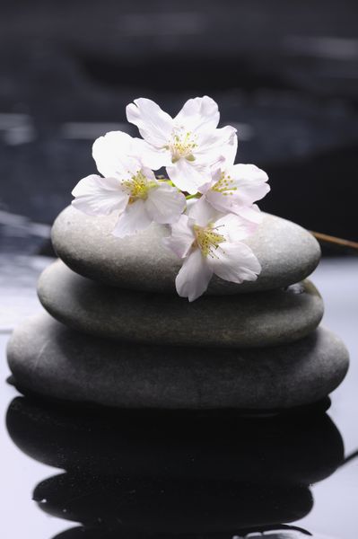 سنگ های درمانی با انعکاس گل های گیلاس