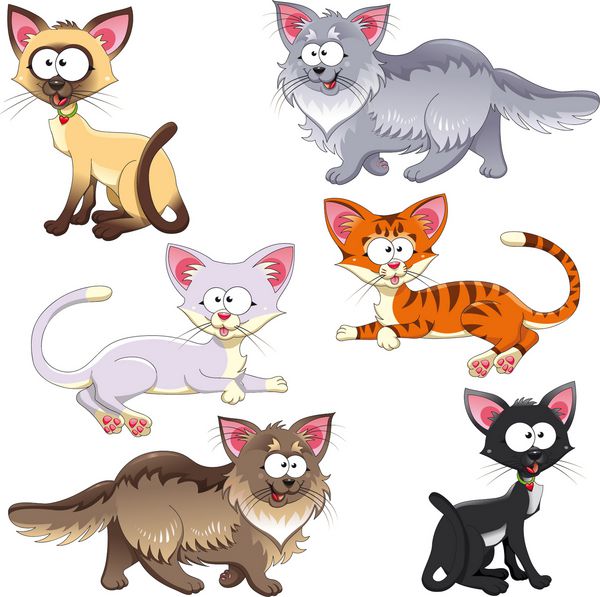 خانواده گربه ها کارتون های خنده دار و وکتور حیوانات اشیاء جدا شده