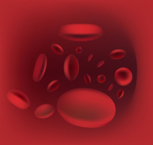 گلبول های قرمز خون که در شریان جریان دارند
