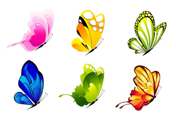 تصویر مجموعه ای از پروانه های رنگارنگ در پس زمینه جدا شده
