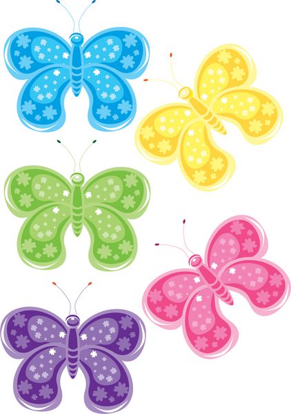 مجموعه ای از پروانه های رنگی مختلف تصویر روی سفید