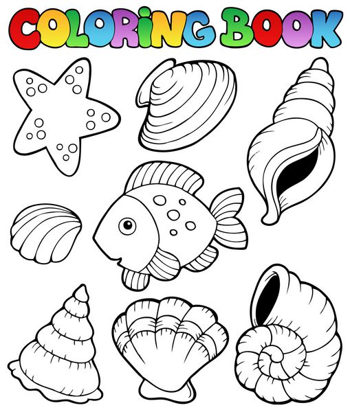 کتاب رنگ آمیزی با صدف های دریایی - وکتور