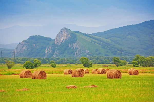 انبارهای کاه مرتب در زمینه پس زمینه و طبیعت