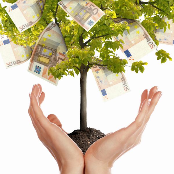 درخت پول با بریدگی روی دست مرد نماد موفقیت مالی