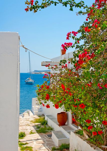 منظره ای زیبا به دریا در جزیره اسکیاتوس یونان