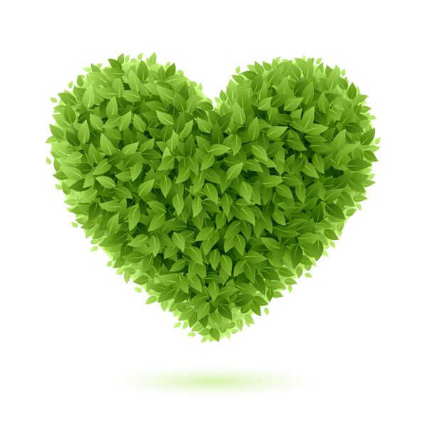 نماد قلب در برگ های سبز بردار