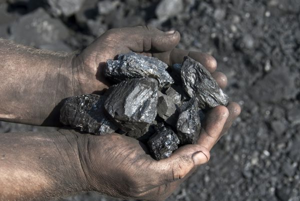 دستان معدنچی با زغال سنگ