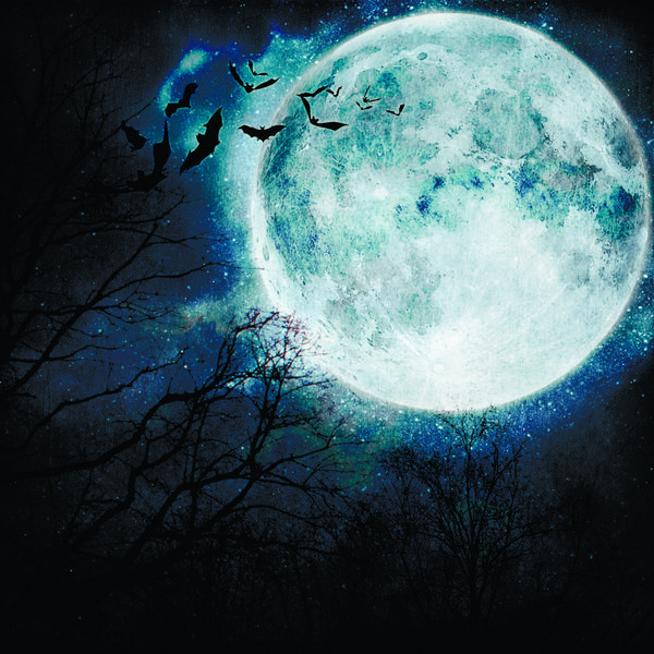 پس زمینه هالووین پرواز خفاش ها در شب با ماه کامل در پس زمینه