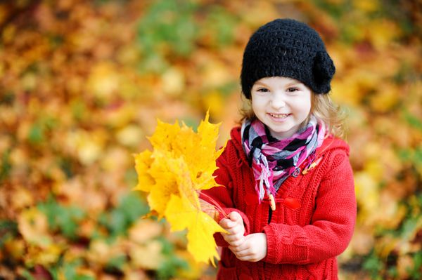 دختر بچه ای با کت قرمز در پاییز که برگ ها را در دست گرفته است