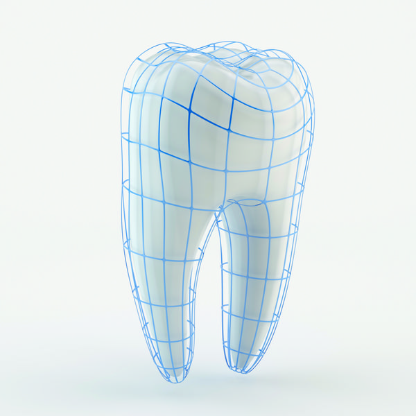 دندان های انسان