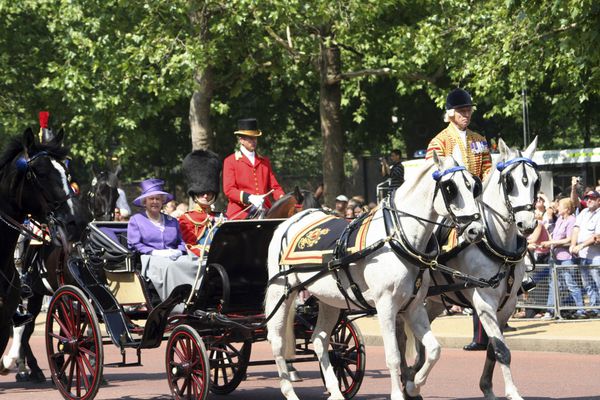 لندن - 17 ژوئن ملکه الیزابت دوم و شاهزاده فیلیپ روی مربی سلطنتی در رژه تولد ملکه در 17 ژوئن 2006 در لندن انگلستان نشستند