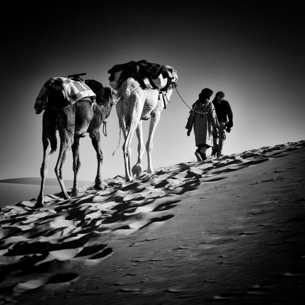تصویر مربع سیاه و سفید از 2 مرد و 2 شتر در صحرای صحرا