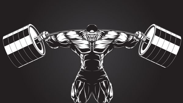  عکس مینیمال بدنسازی