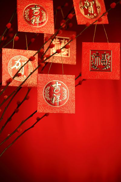 تزئینات سال نو چینی - بسته قرمز روی شاخه آلو شخصیت روی بسته نماد خوش شانسی است
