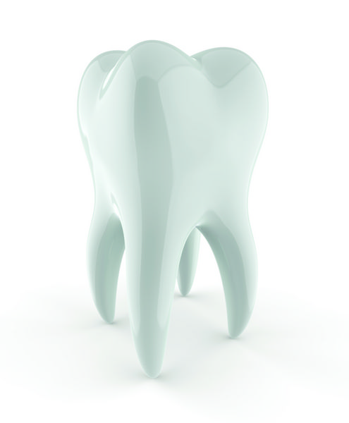 دندان - شامل مسیر برش