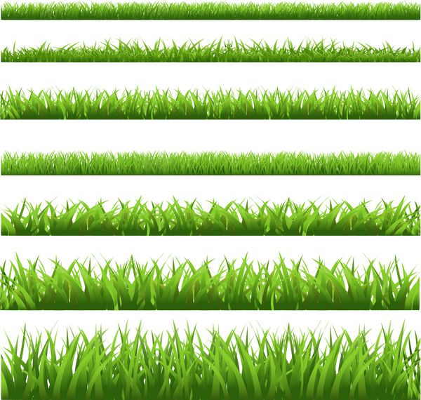 مجموعه چمن سبز جدا شده در پس زمینه سفید وکتور