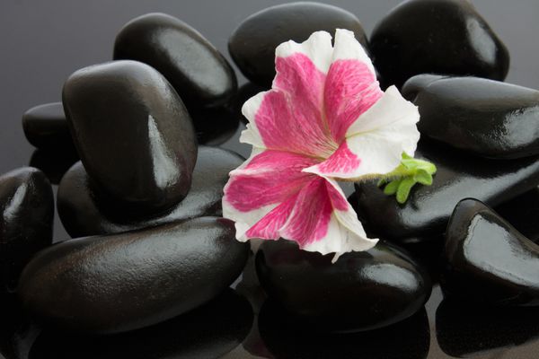 اسپا با سنگ سیاه و گل
