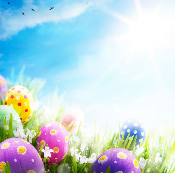 تخم مرغ های رنگارنگ عید پاک تزئین شده با گل در چمن در پس زمینه آسمان آبی