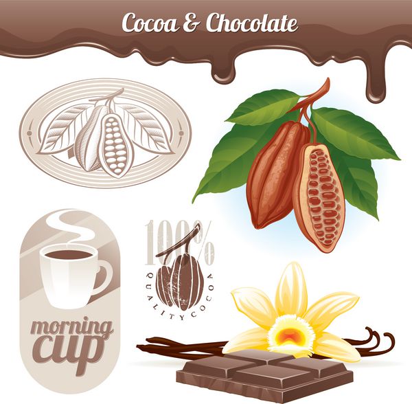 مجموعه وکتور - دانه های کاکائو و شکلات