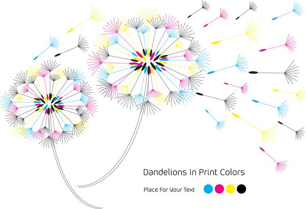 وکتور با گل ها و دانه های قاصدک در رنگ های چاپی با مکانی برای متن شما جدا شده در پس زمینه سفید