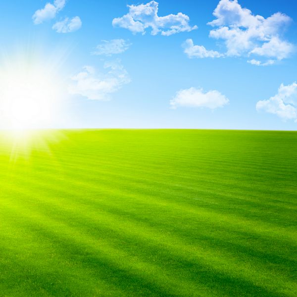 منظره ای زیبا با زمین سبز و خورشید