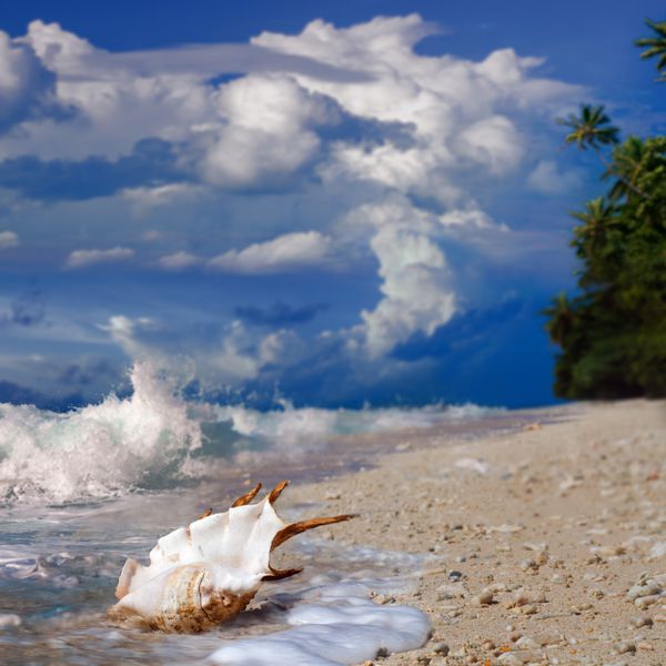 ساحل بهشت اقیانوس آرام با صدف فوم امواج پاشیده و آسمان زیبا