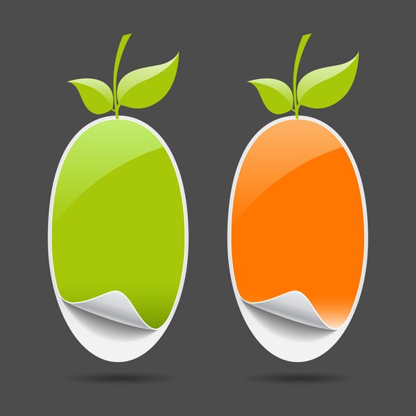 برچسب قیمت سبز و نارنجی به شکل میوه وکتور