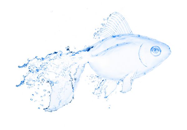آب پاش ماهی جدا شده در پس زمینه سفید