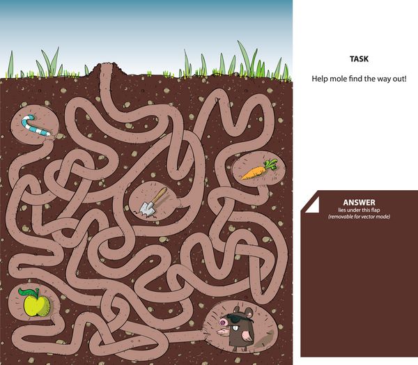 Mole and Molehill Maze Game with Solution