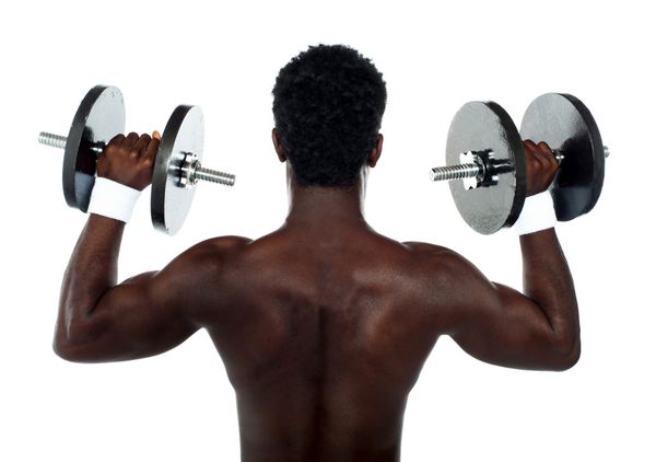 نمای عقب یک بدنساز مرد جوان در حال انجام تمرینات سنگین وزن با دمبل