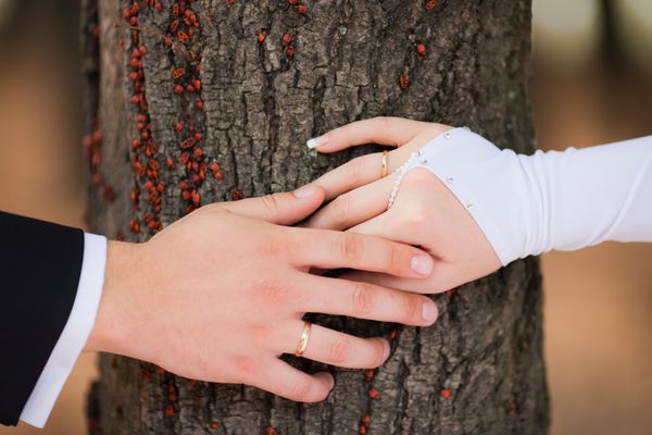 جزئیات عروسی - نمای نزدیک از دست های تازه ازدواج کرده با حلقه های طلا