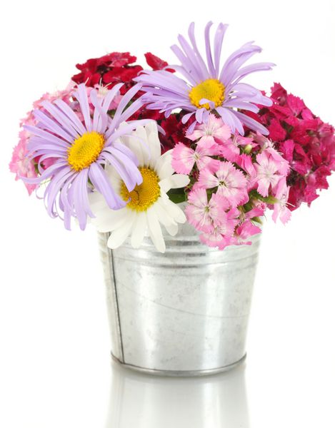 دسته گل زیبا از گل های وحشی روشن در سطل جدا شده بر روی سفید