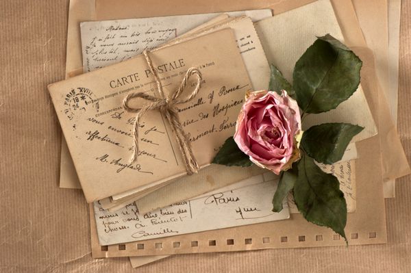 گل رز خشک و حروف کهنه کارت پستال ها و پاکت های قدیمی