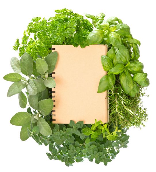 کتاب دستور غذای خالی با انواع گیاهان سالم و تازه روی پس زمینه سفید