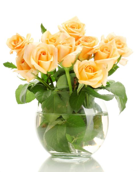 دسته گل رز زیبا در گلدان شفاف جدا شده روی سفید