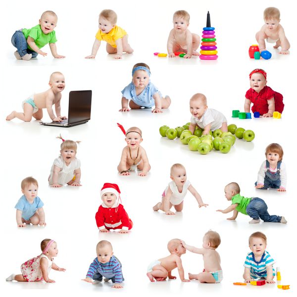 مجموعه ای از نوزادان یا کودکان نوپا در حال خزنده با اسباب بازی های جدا شده روی سفید