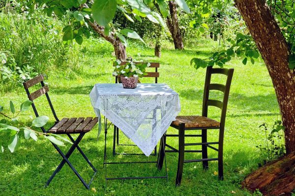 چیدمان ایده آل از یک میز قهوه کوچک و یک صندلی چوبی در زیر درخت سیب در باغ تابستانی سبز