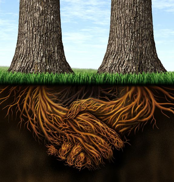 شالوده قوی به عنوان مفهوم تجاری ثبات و وفاداری با دو درخت با ریشه در زیر زمین به شکل دستان لرزان به عنوان نماد توافق و ادغام نیروها با یکدیگر برای موفقیت