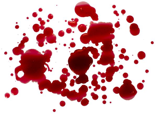 قطرات خون پاشش جدا شده روی سفید مسیر برش
