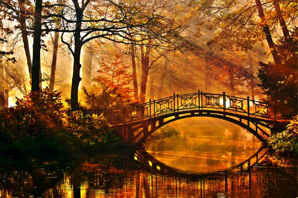 پاییز - پل قدیمی در پارک مه آلود پاییز