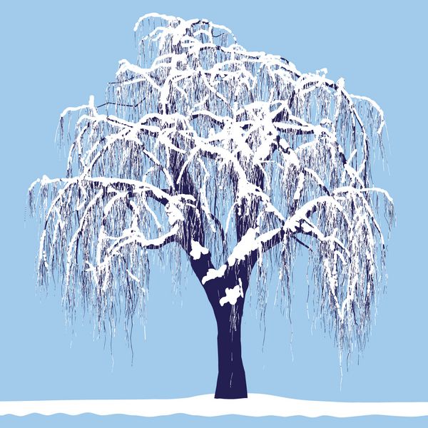نقاشی وکتور از درخت در زمستان - وکتور دقیق