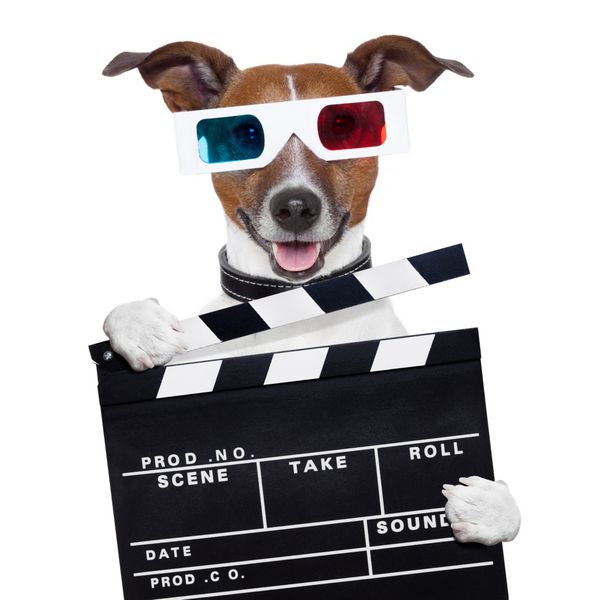 کنترل از راه دور عینک سه بعدی تلویزیون فیلم سگ
