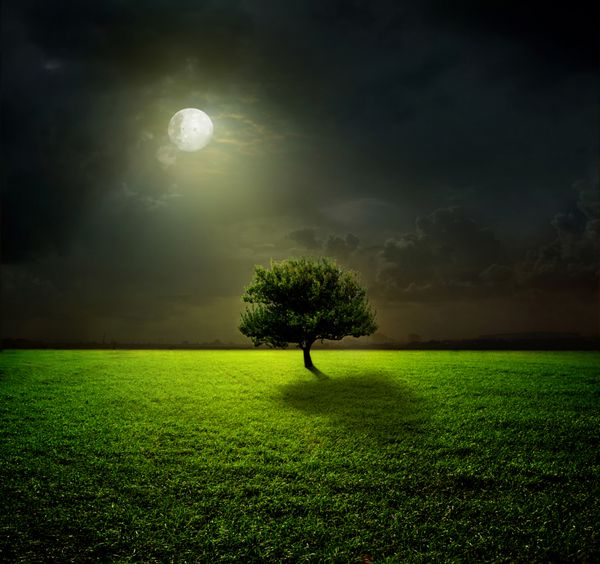 شب و ماه در یک میدان سبز