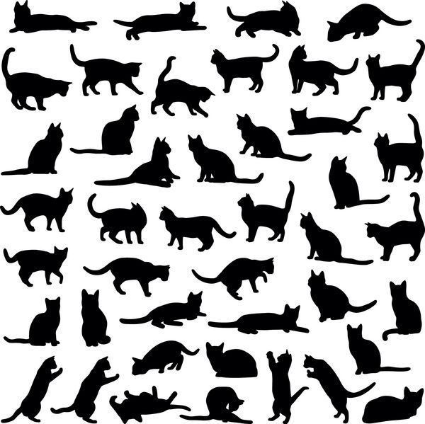 مجموعه گربه ها - وکتور شبح