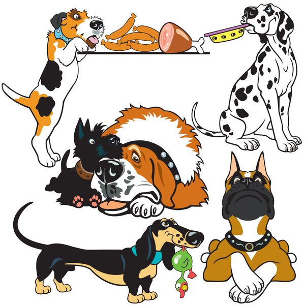 مجموعه ای با نژاد سگ تصاویر کارتونی جدا شده در پس زمینه سفید تصاویر وکتور