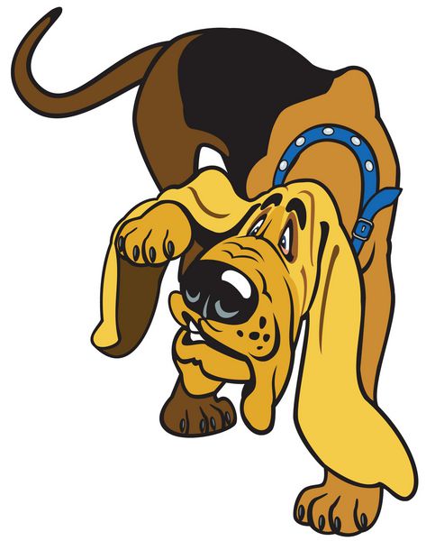 نژاد سگ خونگی تصویر کارتونی جدا شده در پس زمینه سفید وکتور از جلو