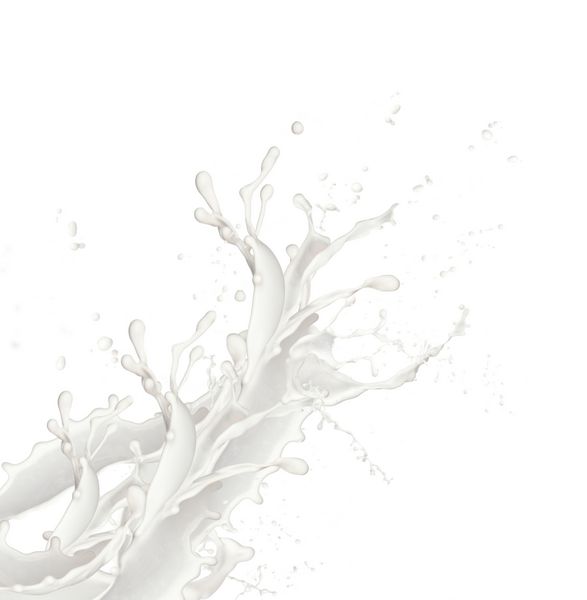 پاشش شیر جدا شده در زمینه سفید